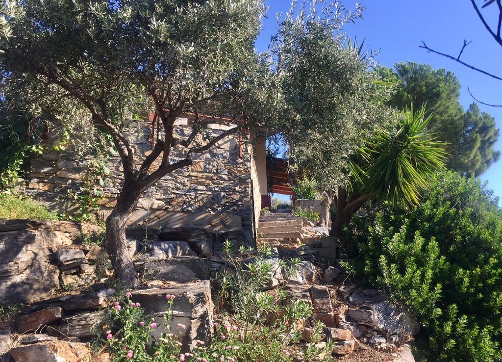 Alexander's Villa Kritharia  Exteriör bild